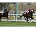 Carrera: P.Indian Prince Monta: N.de Julián Cuadra: C. E Fernández de Vega